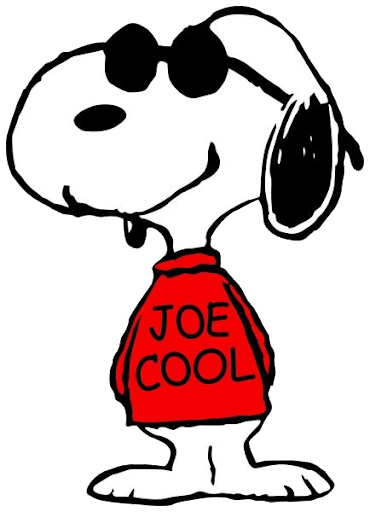 Joe Cool Snoopy Observe
