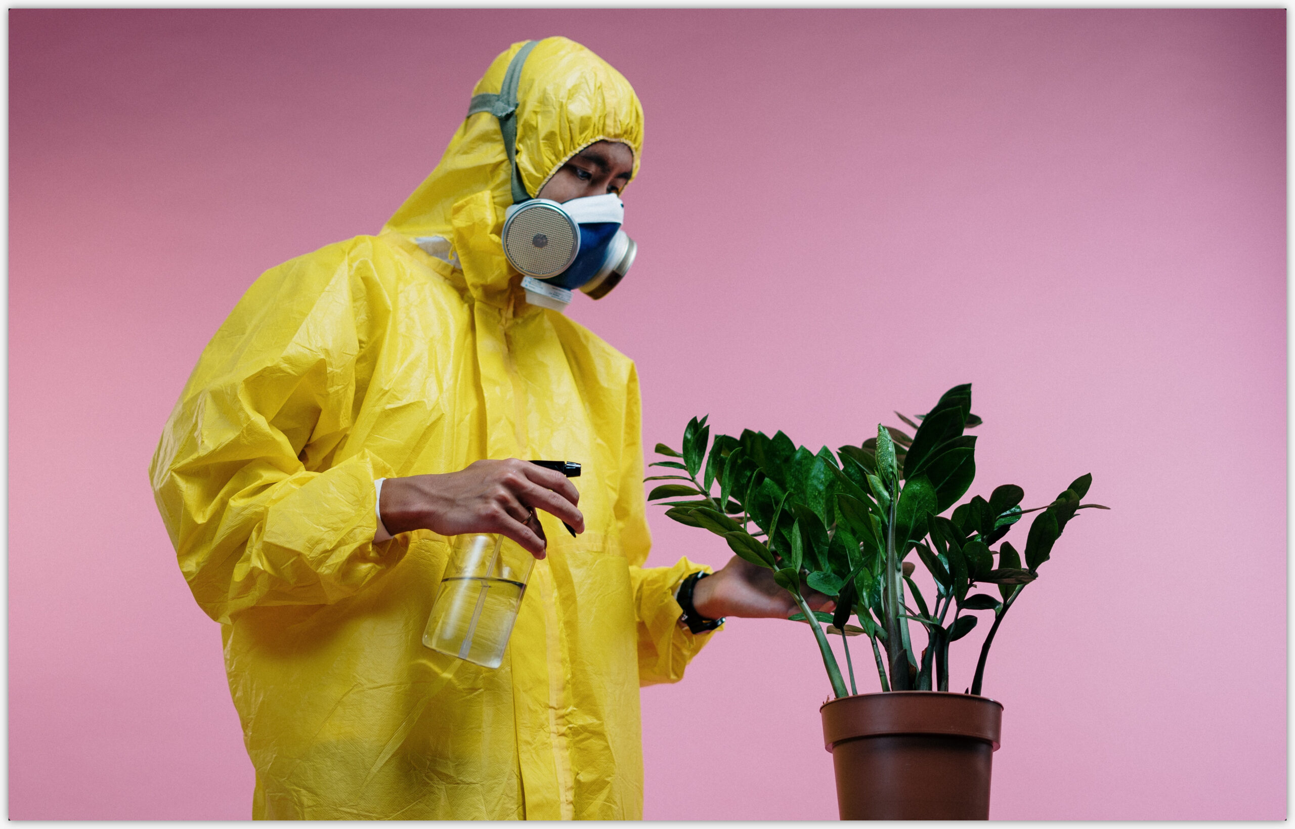 Plant care with guy wearing hazmat suit.